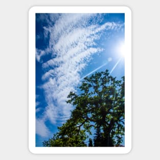 Sun, Tree and Sky Sticker